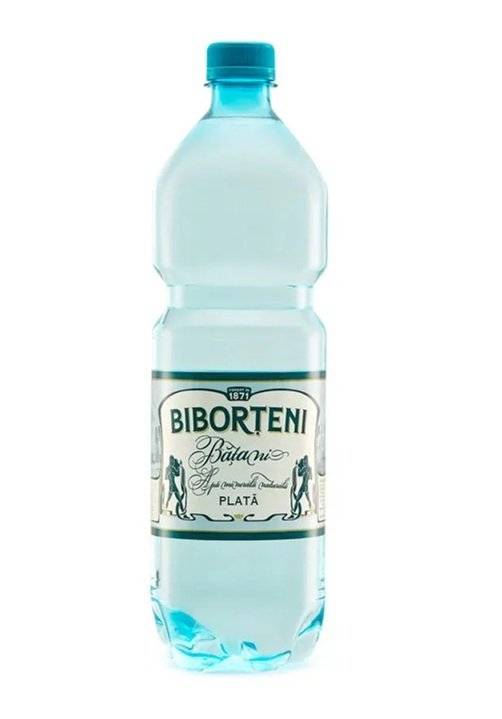 Biborteni Apa Minerarala Naturala Plata 1L, SGR